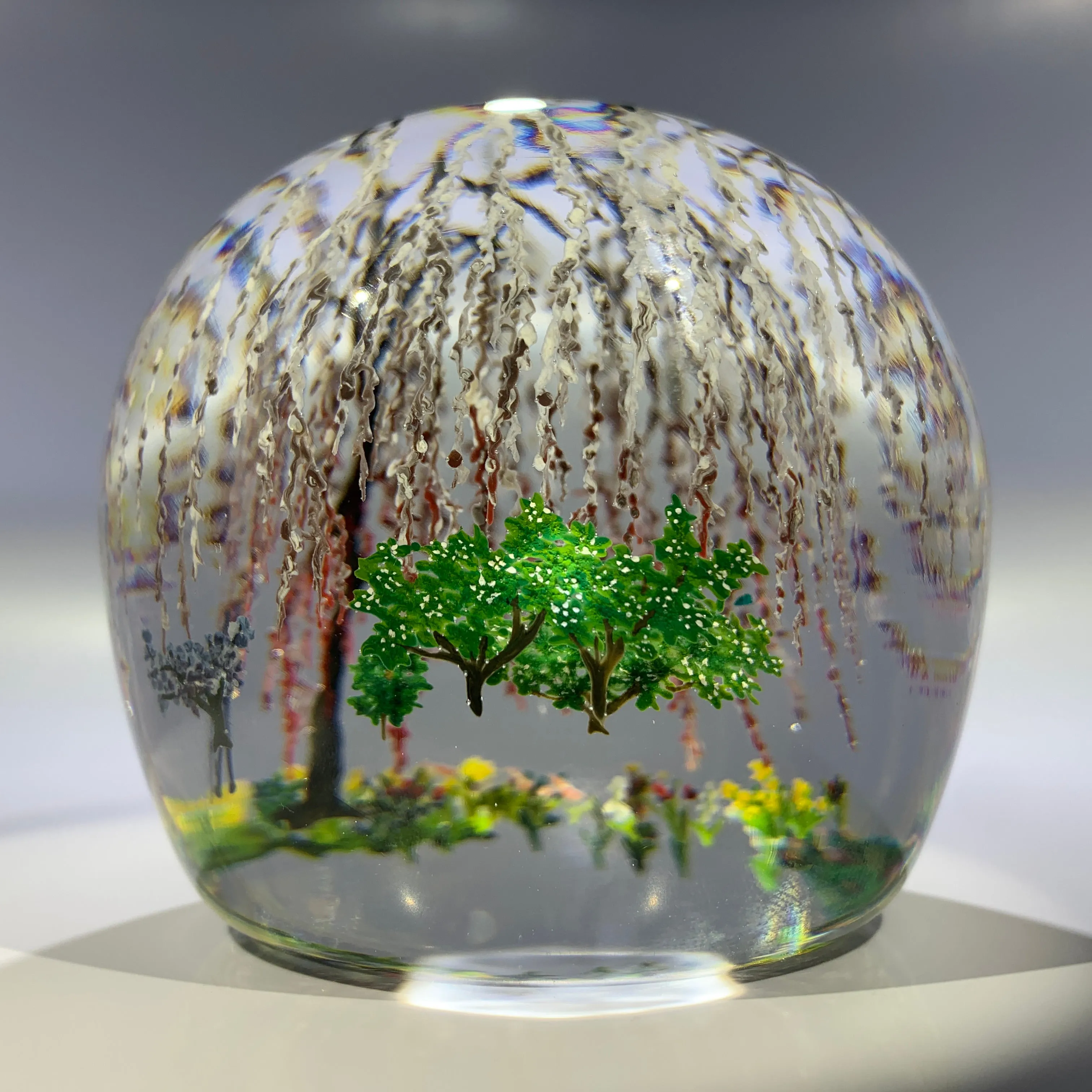 Contemporary Alison Ruzsa Art Glass Paperweight Encapsulated Hand Painted Weeping Willow