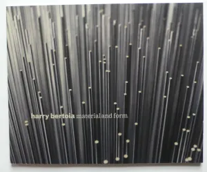 Harry Bertoia Material and Form