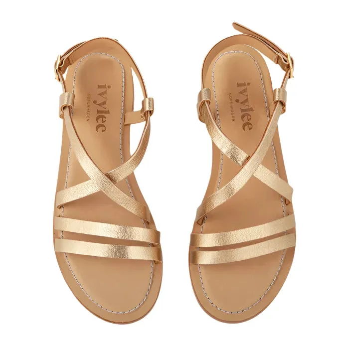 IvyLee Aiden Gold Leather