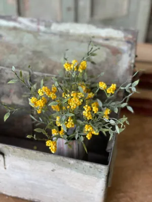 Savannah Yellow