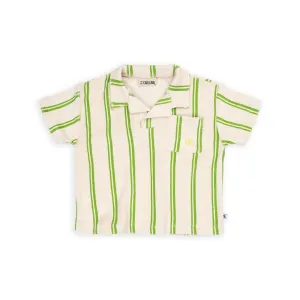 Stripes Green Loose Fit Terry Polo Shirt With Embroidery