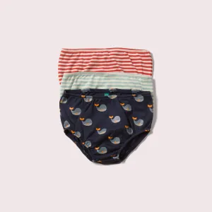 Whale Song Organic Kids Underwear Set - 3 Pack